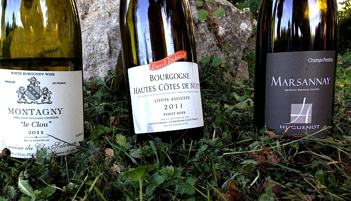 Französischer Wein Verwechslungen Burgund Flaschen