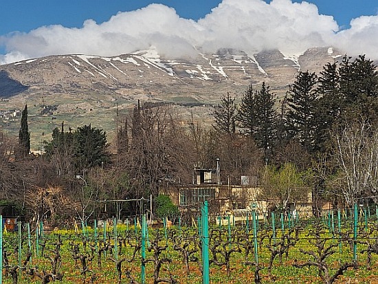 Bekaa Domaine des Tourelles Libanongebirge