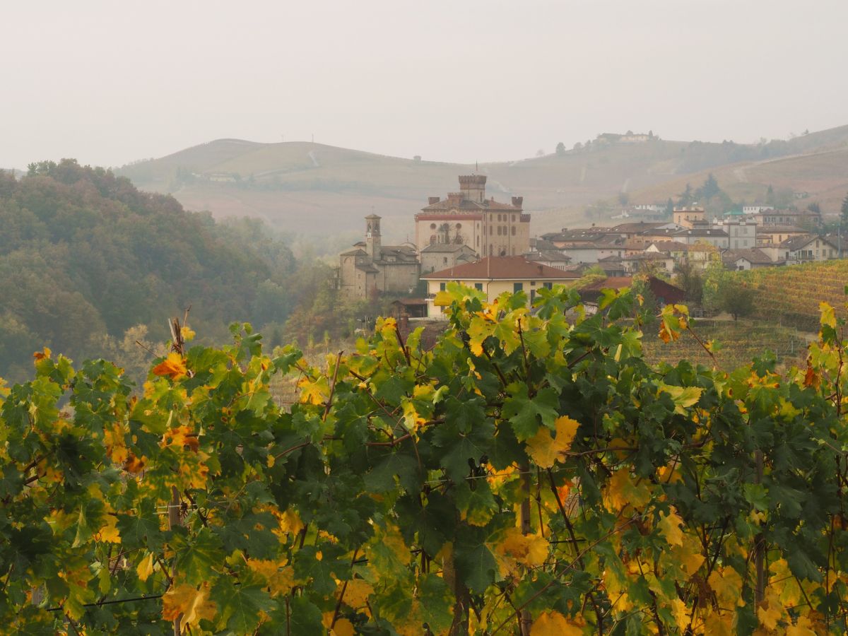 Piemont Italien Wein Empfehlungen ausgefallen