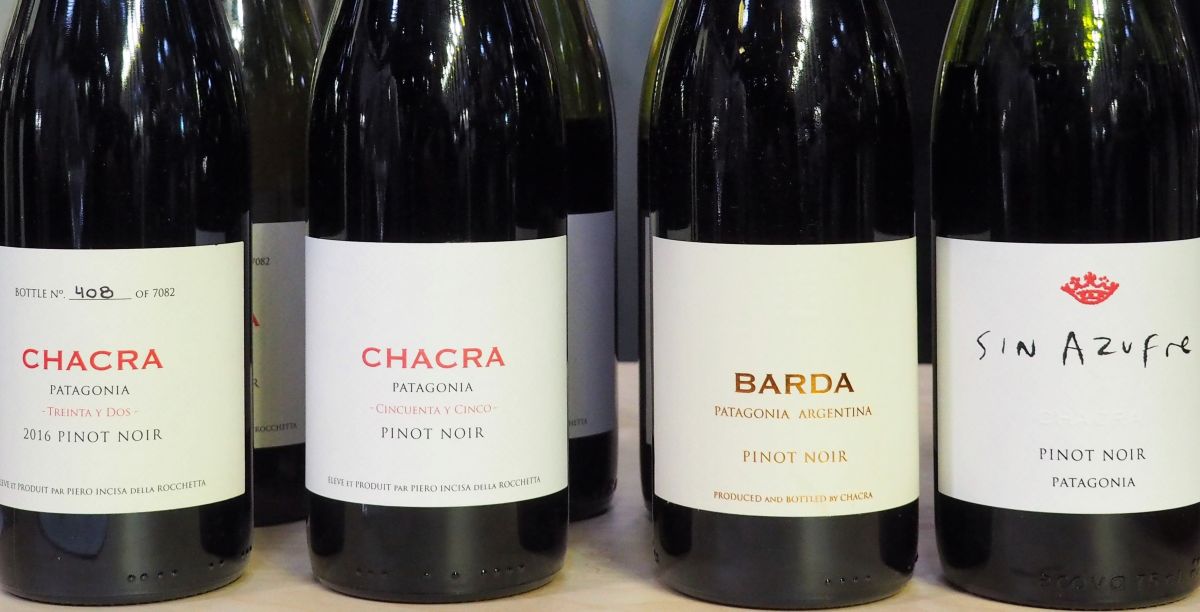 Rekordverdächtige Weine Bodega Chacra Patagonien Argentinien Pinot Noir 