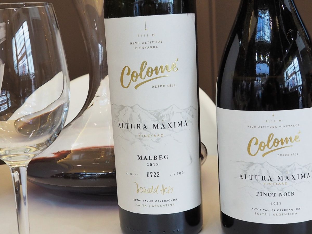 Rekordverdächtige Weine Colome Argentinien Spätburgunder und Malbec Rotwein